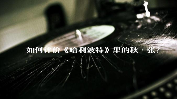 如何评价《哈利波特》里的秋·张？